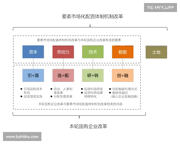 战术演示解析与实战应用技巧探索，提升战斗力的关键要素剖析